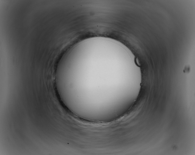 X0000101400040200807071040