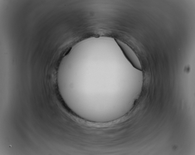 X0000101400043200807071040