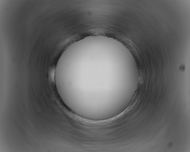 X0000101400047200807071040