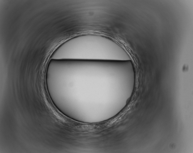 X0000101400049200807071040