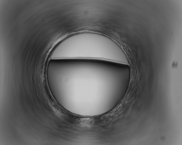 X0000101400050200807071040