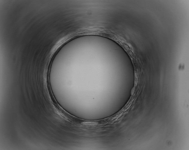 X0000101400051200807071040