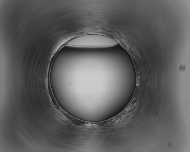 X0000101400052200807071040