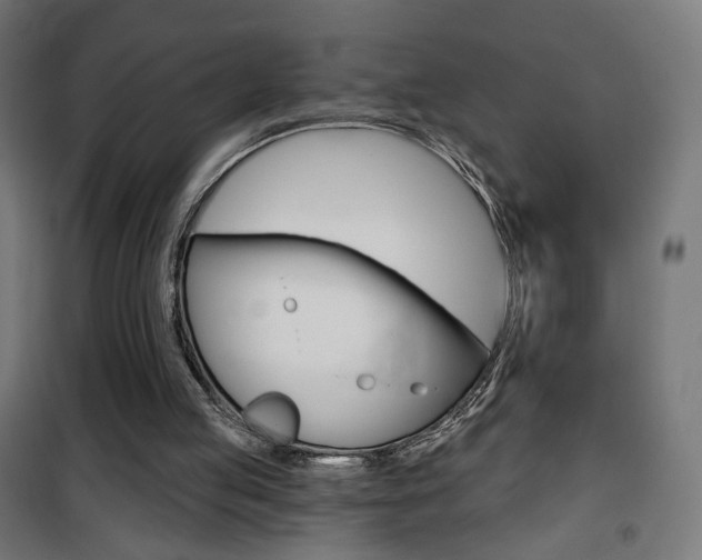X0000101400053200807071040