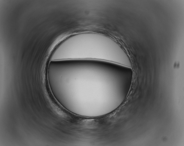 X0000101400054200807071040