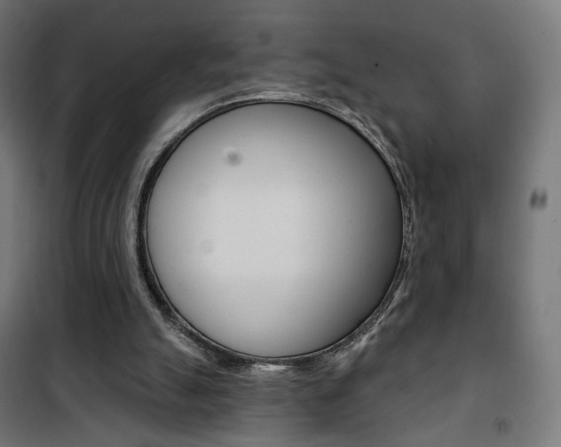 X0000101400055200807071040
