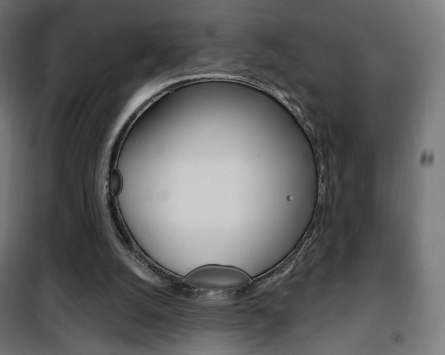 X0000101400056200807071040
