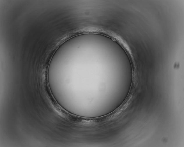 X0000101400057200807071040
