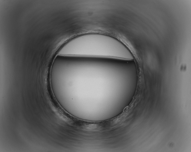 X0000101400058200807071040