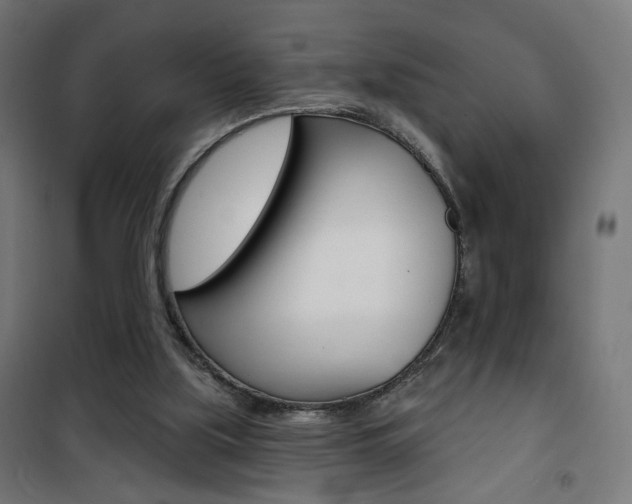 X0000101400059200807071040