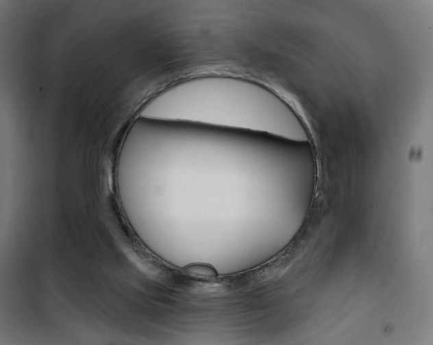X0000101400061200807071040