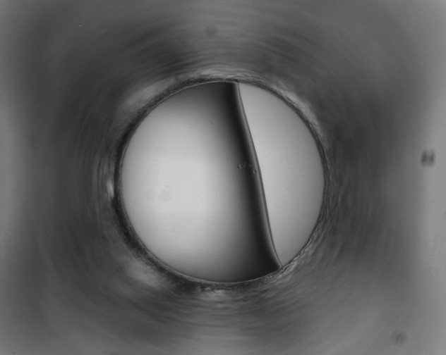 X0000101400062200807071040
