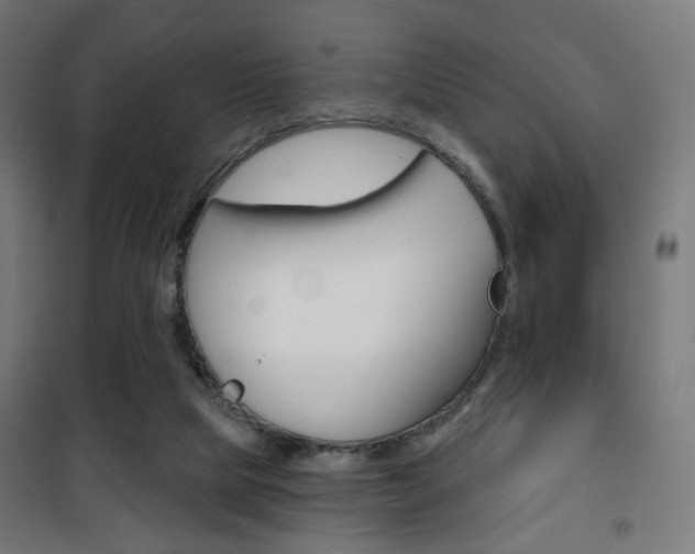 X0000101400065200807071040