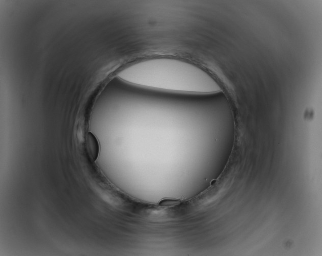 X0000101400068200807071040