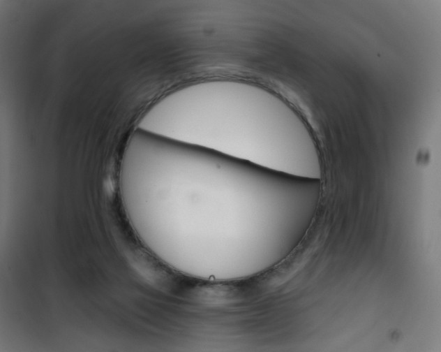 X0000101400069200807071040