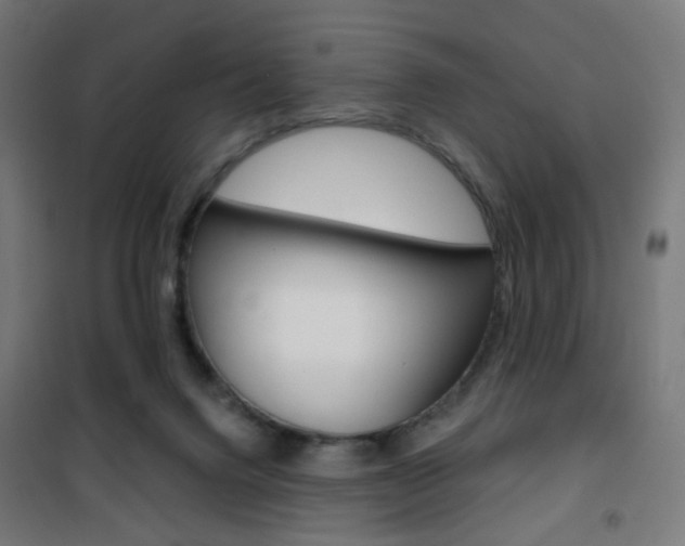 X0000101400072200807071040