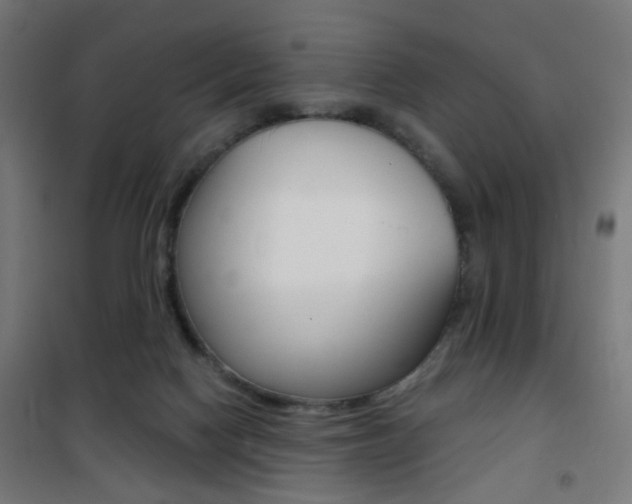 X0000101400074200807071040
