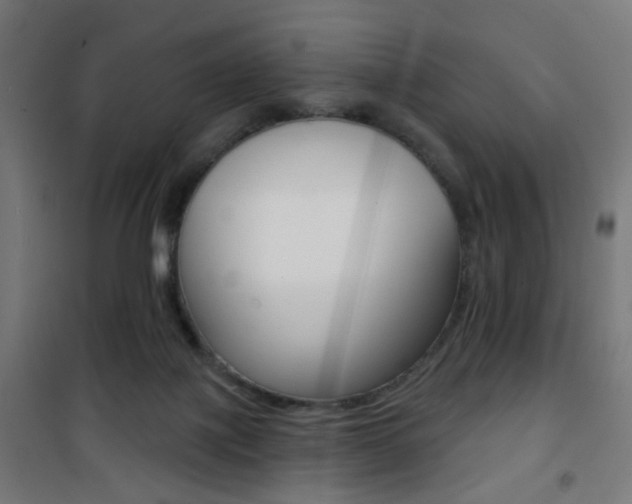 X0000101400075200807071040