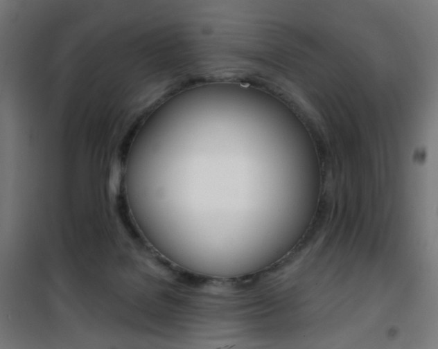 X0000101400076200807071040