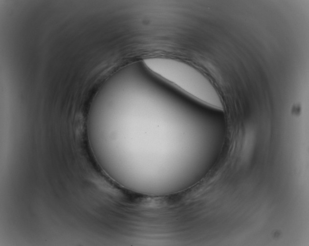 X0000101400077200807071040