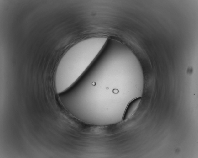 X0000101400078200807071040