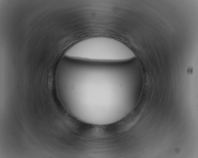 X0000101400080200807071040