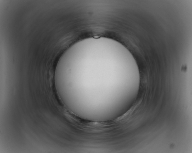 X0000101400082200807071040