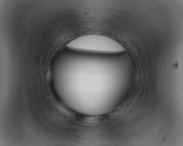 X0000101400084200807071040