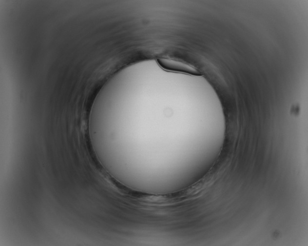 X0000101400085200807071040