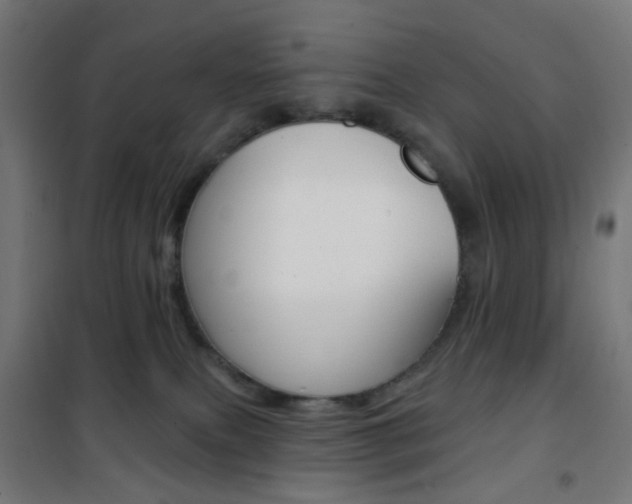 X0000101400087200807071040