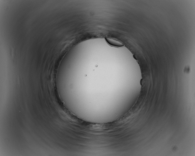 X0000101400088200807071040