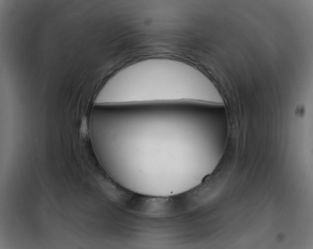 X0000101400089200807071040