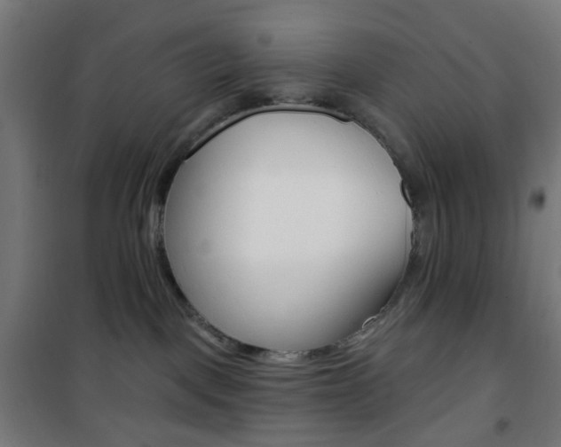 X0000101400093200807071040