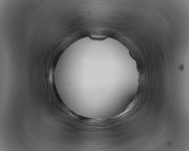 X0000101400094200807071040