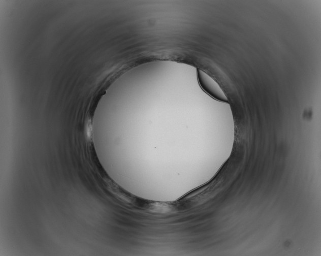 X0000101400095200807071040