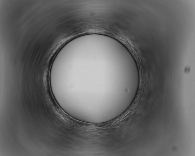 X0000101400098200807071039
