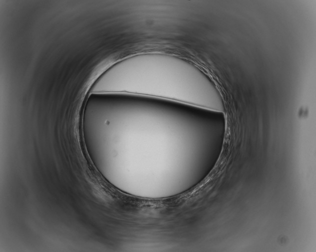 X0000101400099200807071039