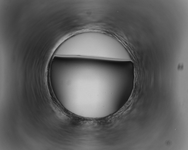 X0000101400100200807071039