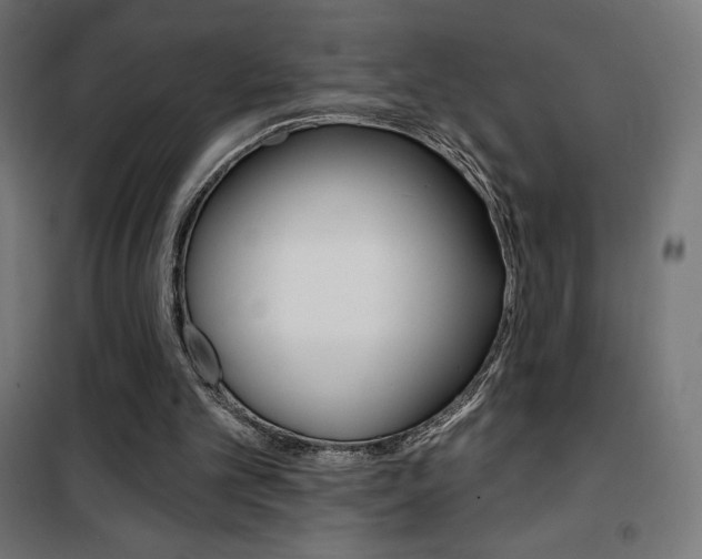 X0000101400101200807071039