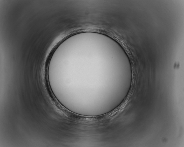 X0000101400102200807071039