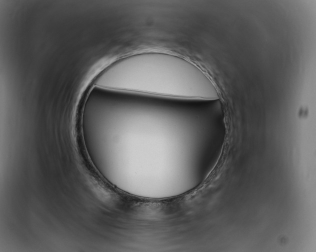 X0000101400104200807071039