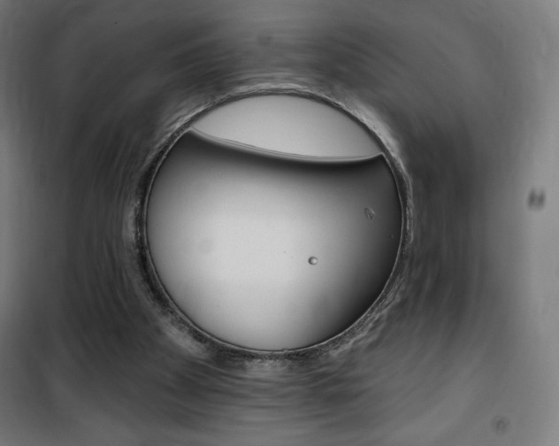 X0000101400105200807071039