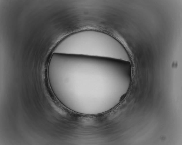 X0000101400106200807071039