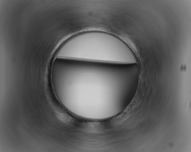 X0000101400108200807071039