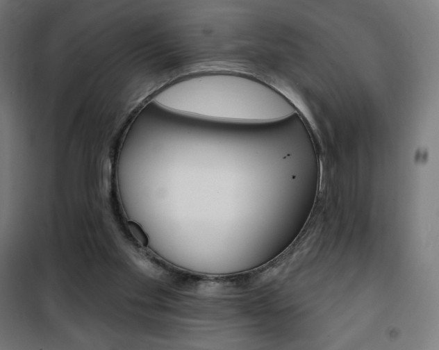 X0000101400109200807071039
