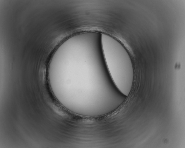 X0000101400110200807071039