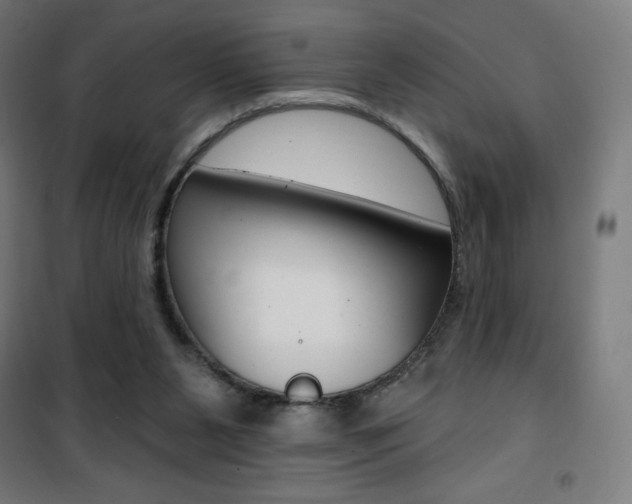 X0000101400111200807071039