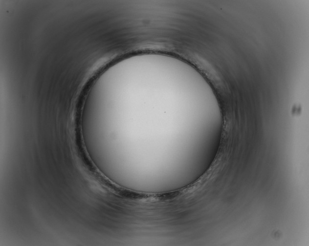 X0000101400112200807071039
