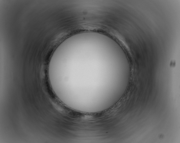 X0000101400114200807071039