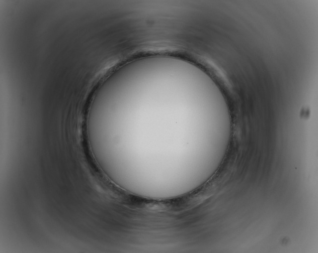 X0000101400115200807071039